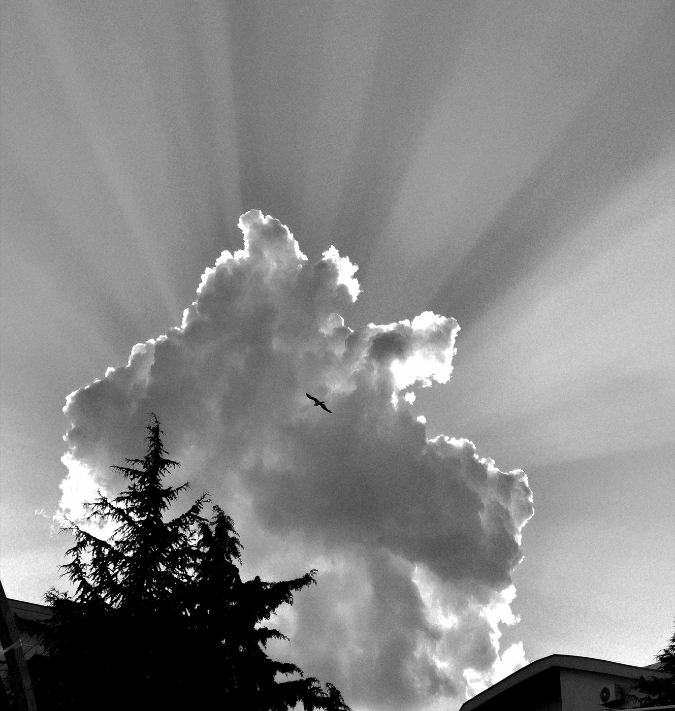 A cloud backlit by sunbeams in black and white