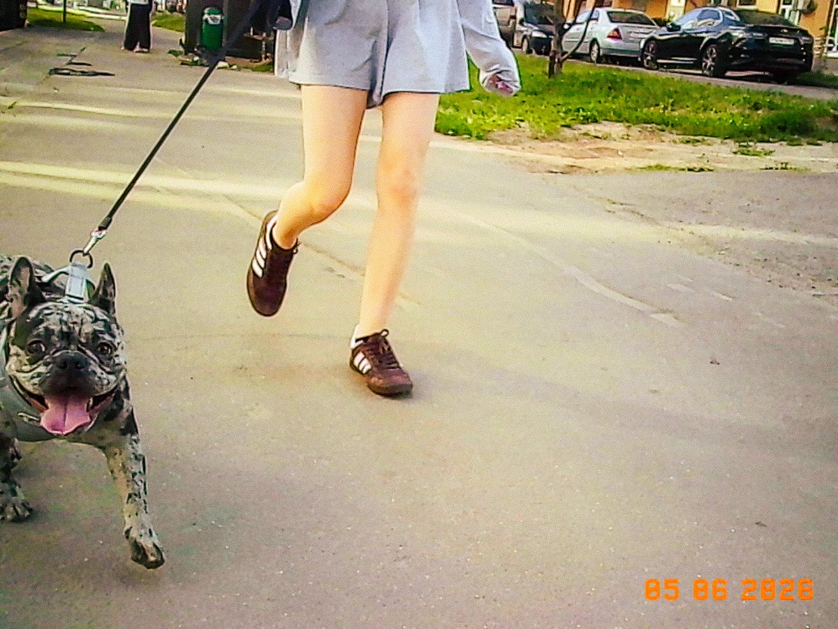 A dog and its walker crossing a sunny street, shot on Charmera