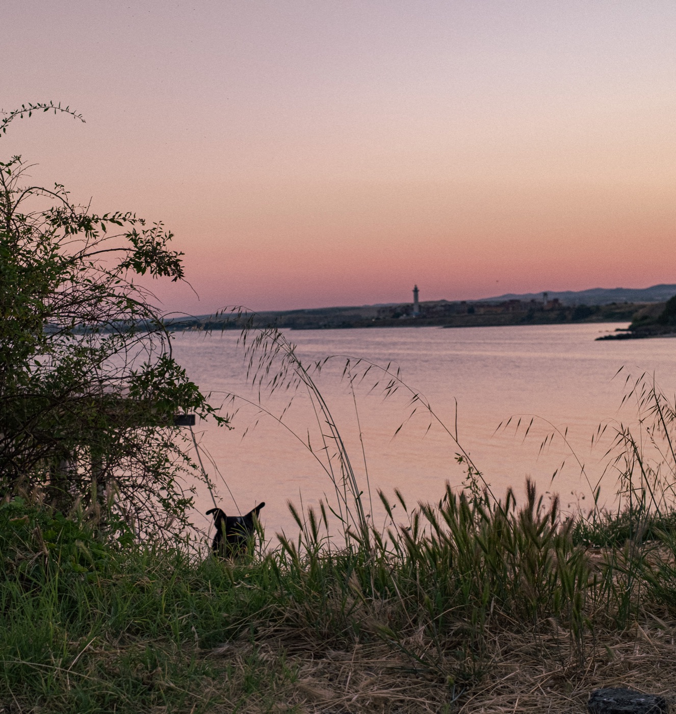 Pink dusk over water and a distant lighthouse